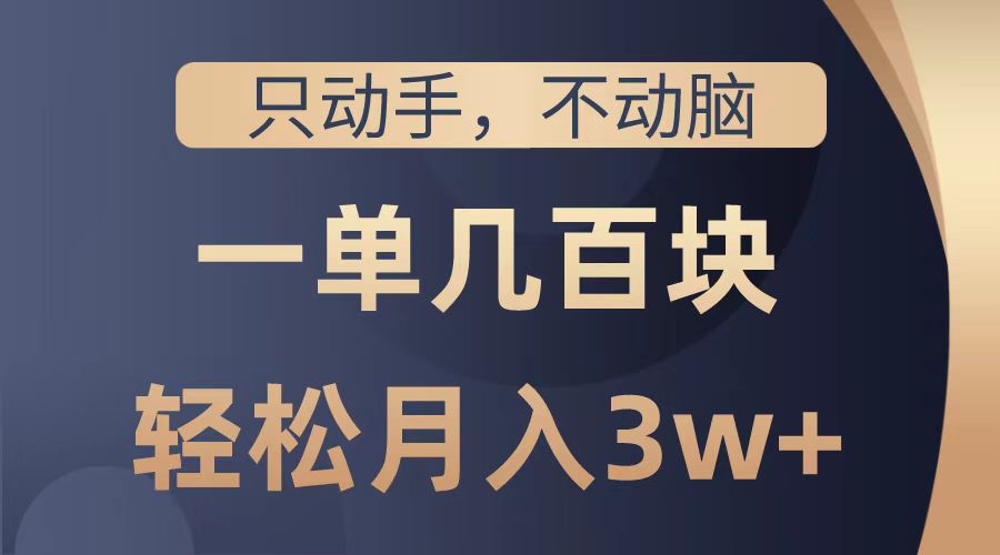 只动手不动脑，一单几百块，轻松月入2w+，看完就能直接操作，详细教程-飞鱼网创