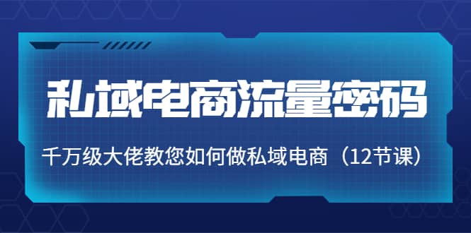 私域电商流量密码：千万级大佬教您如何做私域电商（12节课）-飞鱼网创