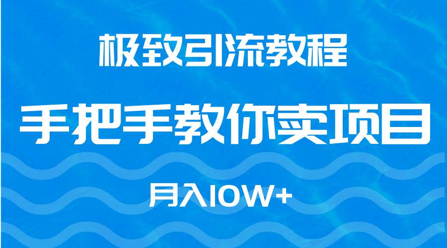 极致引流教程，手把手教你卖项目，月入10W+-飞鱼网创