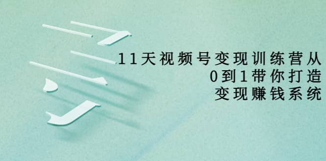 好望角·11天视频号变现训练营，从0到1打造变现赚钱系统（价值398）-飞鱼网创