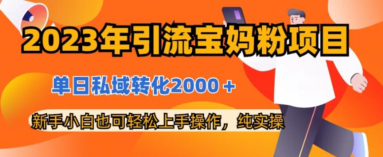 2023年引流宝妈粉项目，单日私域转化2000＋，新手小白也可轻松上手操作，纯实操-飞鱼网创