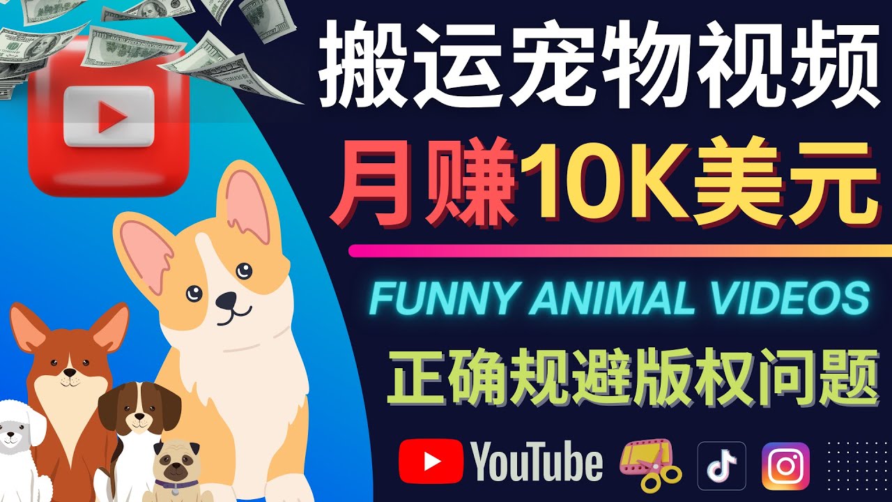 搬运TIKTOK视频到YouTube，并进行二次创作，月赚1万美元以上-飞鱼网创