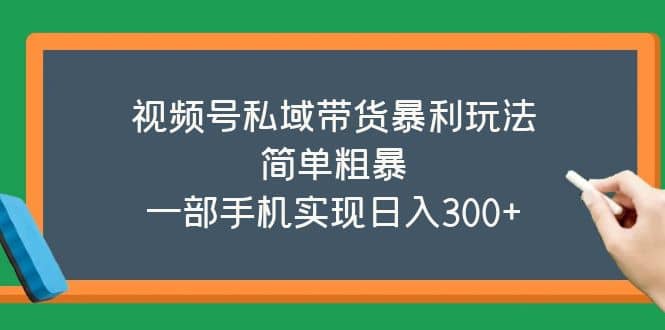 视频号私域带货暴利玩法，简单粗暴-飞鱼网创