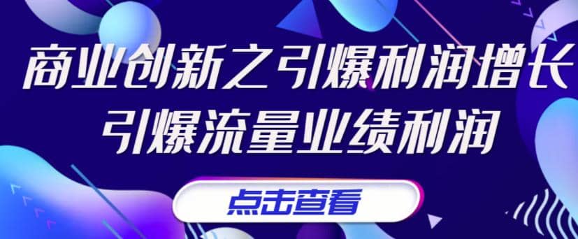 《商业创新之引爆利润增长》引爆流量业绩利润-飞鱼网创