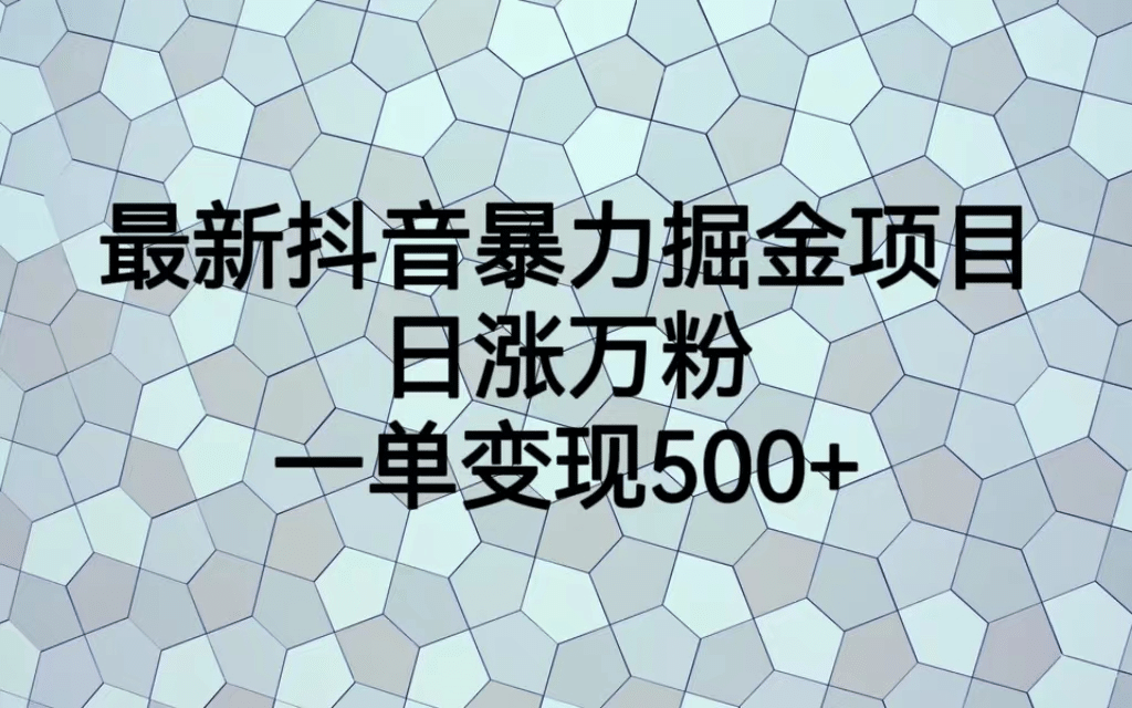 最火热的抖音暴力掘金项目，日涨万粉，多种变现方式，一单变现可达500+-飞鱼网创