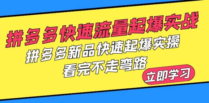 拼多多-快速流量起爆实战，拼多多新品快速起爆实操，看完不走弯路-飞鱼网创