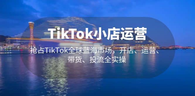 TikTok小店运营 抢占TikTok全球蓝海市场，开店、运营、带货、投流全实操-飞鱼网创