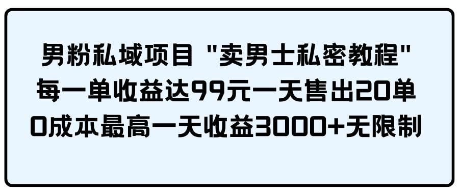 男粉私域项目 卖男士私密教程 每一单收益达99元一天售出20单-飞鱼网创