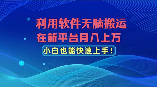 利用软件无脑搬运，在新平台月入上万，小白也能快速上手-飞鱼网创