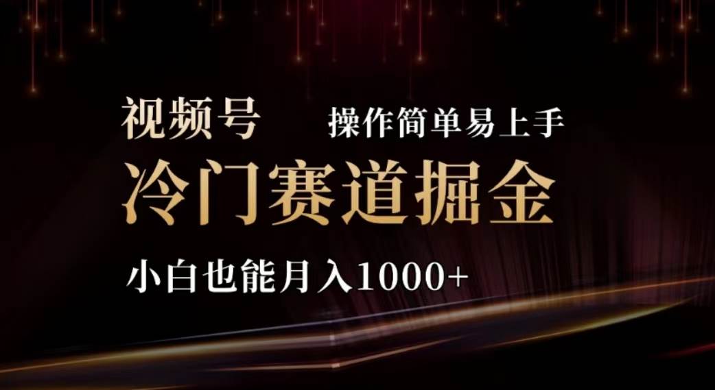 2024视频号冷门赛道掘金，操作简单轻松上手，小白也能月入1000+-飞鱼网创