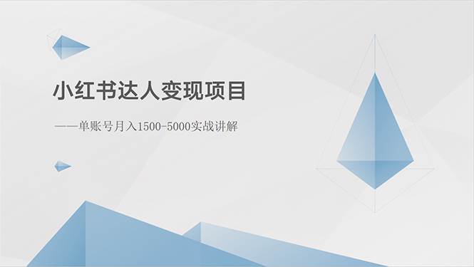 小红书达人变现项目：单账号月入1500-3000实战讲解-飞鱼网创