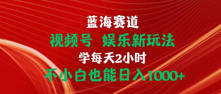 蓝海赛道视频号 娱乐新玩法每天2小时小白也能日入1000+-飞鱼网创