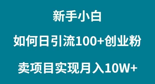 新手小白如何通过卖项目实现月入10W+-飞鱼网创