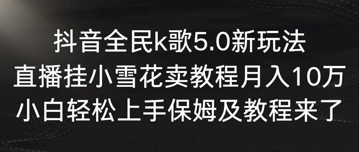 抖音全民k歌5.0新玩法，直播挂小雪花卖教程月入10万，小白轻松上手，保…-飞鱼网创