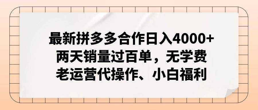 最新拼多多合作日入4000+两天销量过百单，无学费、老运营代操作、小白福利-飞鱼网创