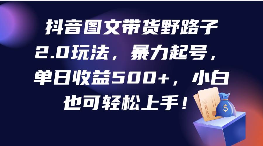 抖音图文带货野路子2.0玩法，暴力起号，单日收益500+，小白也可轻松上手！-飞鱼网创