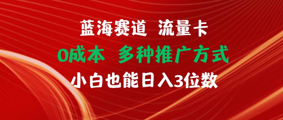 蓝海赛道 流量卡 0成本 小白也能日入三位数-飞鱼网创