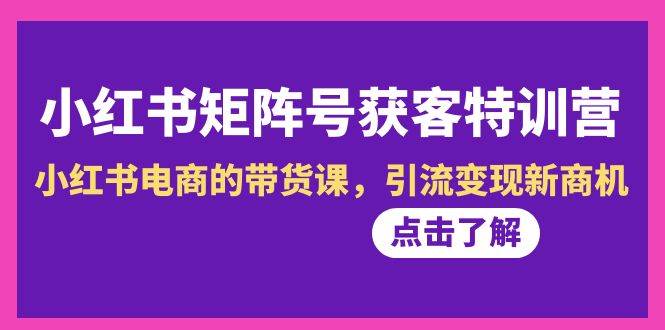 小红书-矩阵号获客特训营-第10期，小红书电商的带货课，引流变现新商机-飞鱼网创