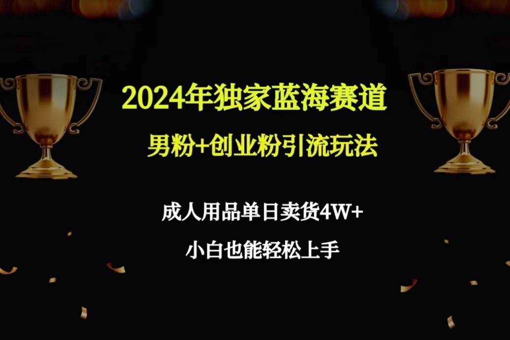 2024年独家蓝海赛道男粉+创业粉引流玩法，成人用品单日卖货4W+保姆教程-飞鱼网创