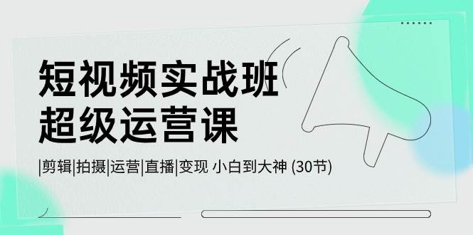 短视频实战班-超级运营课，|剪辑|拍摄|运营|直播|变现 小白到大神 (30节)-飞鱼网创