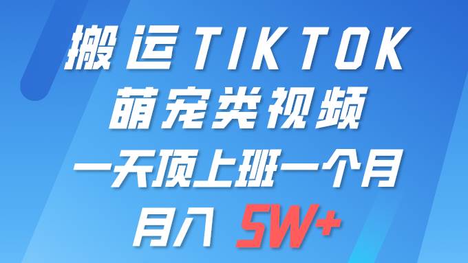 一键搬运TIKTOK萌宠类视频 一部手机即可操作 所有平台均可发布 轻松月入5W+-飞鱼网创