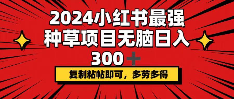 2024小红书最强种草项目，无脑日入300+，复制粘帖即可，多劳多得-飞鱼网创