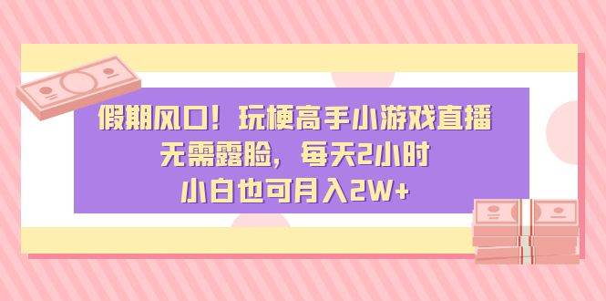 假期风口！玩梗高手小游戏直播，无需露脸，每天2小时，小白也可月入2W+-飞鱼网创