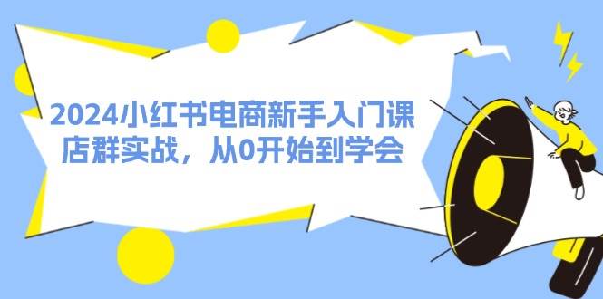 2024小红书电商新手入门课，店群实战，从0开始到学会（31节）-飞鱼网创