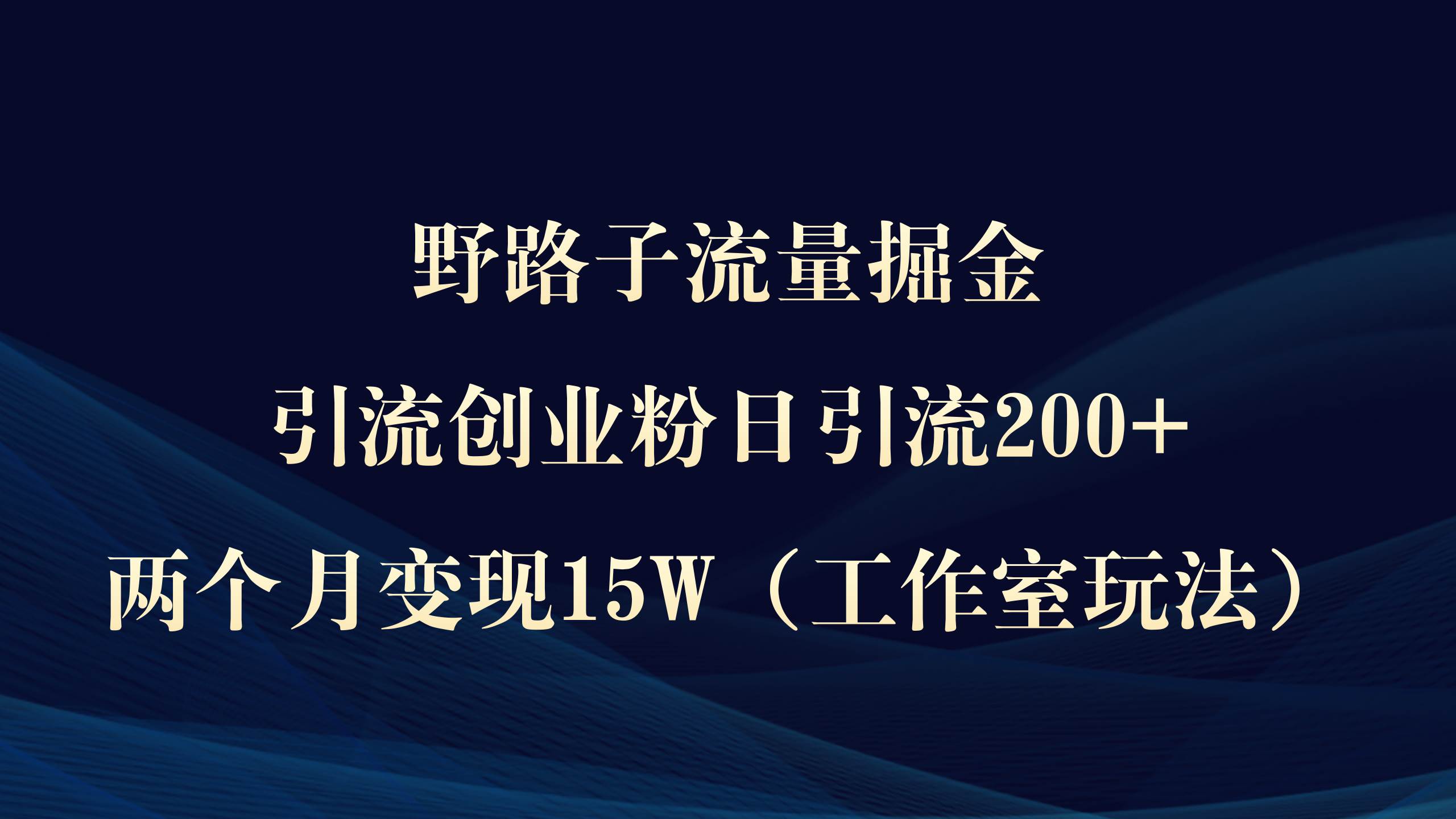 野路子流量掘金，引流创业粉日引流200+，两个月变现15W（工作室玩法））-飞鱼网创