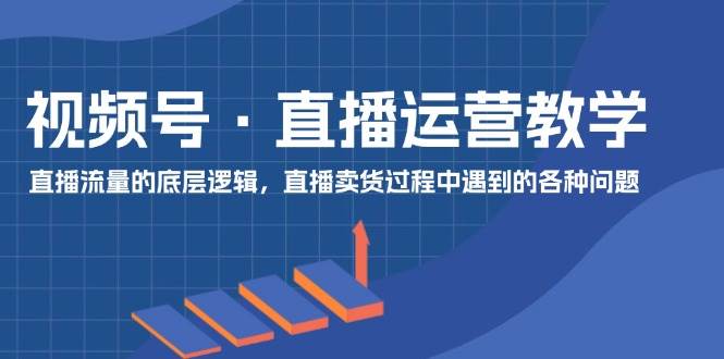 视频号 直播运营教学：直播流量的底层逻辑，直播卖货过程中遇到的各种问题-飞鱼网创