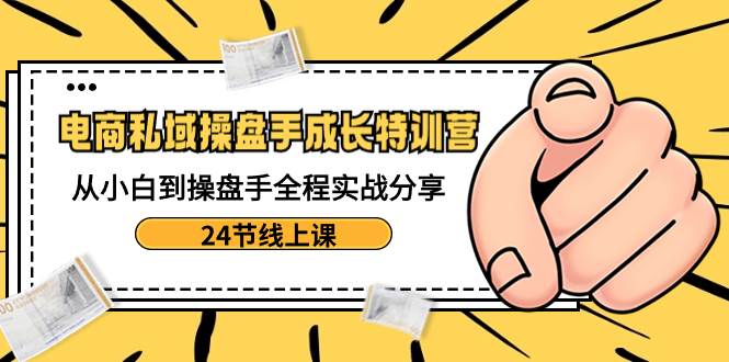 电商私域-操盘手成长特训营：从小白到操盘手全程实战分享-24节线上课-飞鱼网创