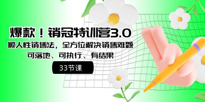 爆款！销冠特训营3.0之顺人性销售法，全方位解决销售难题、可落地、可执行、有结果-飞鱼网创