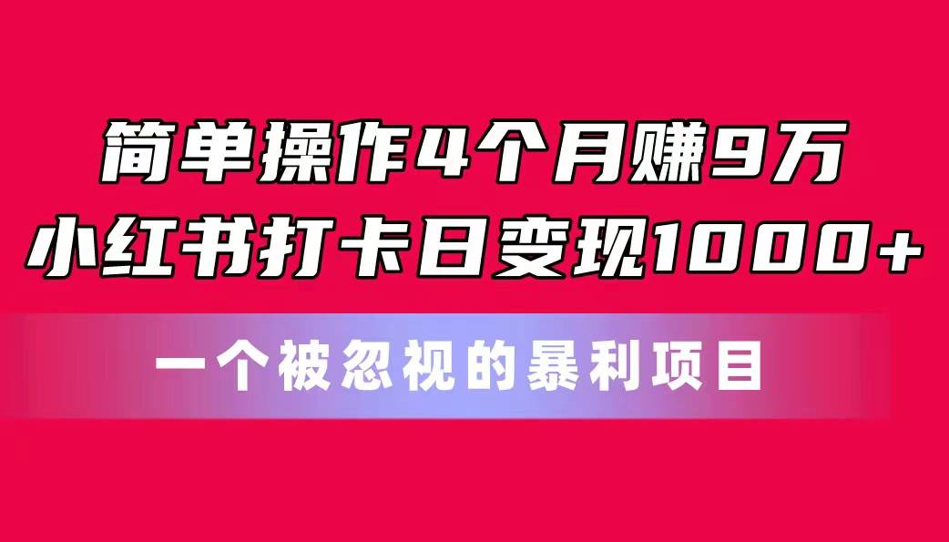 简单操作4个月赚9万！小红书打卡日变现1000+！一个被忽视的暴力项目-飞鱼网创