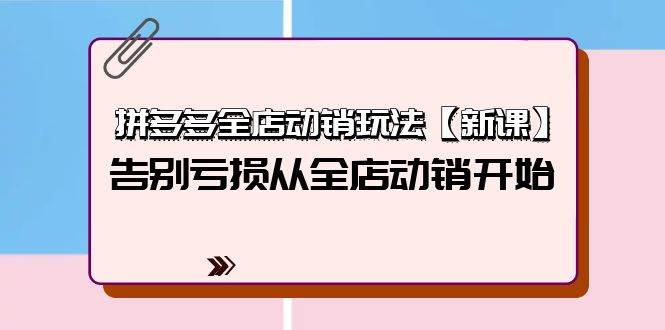 拼多多全店动销玩法【新课】，告别亏损从全店动销开始（4节视频课）-飞鱼网创