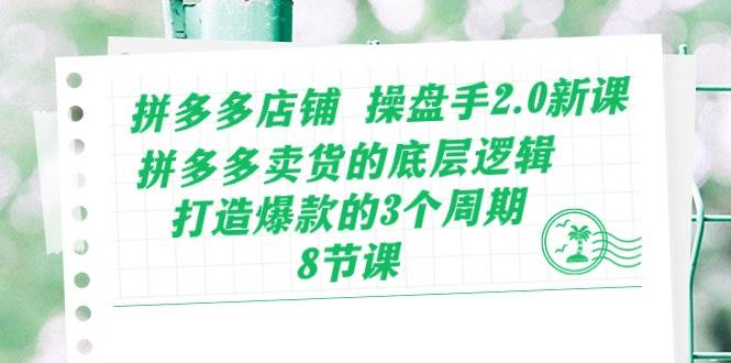 拼多多店铺 操盘手2.0新课，拼多多卖货的底层逻辑，打造爆款的3个周期-8节-飞鱼网创