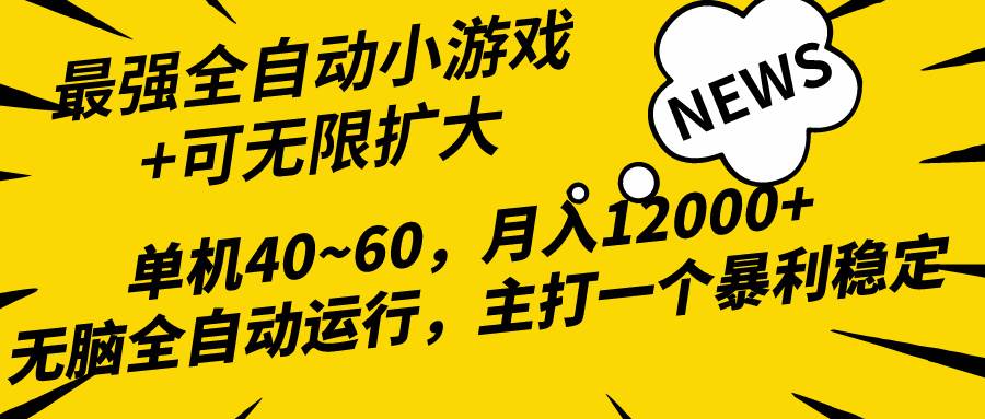 2024最新全网独家小游戏全自动，单机40~60,稳定躺赚，小白都能月入过万-飞鱼网创