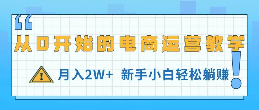 从0开始的电商运营教学，月入2W+，新手小白轻松躺赚-飞鱼网创