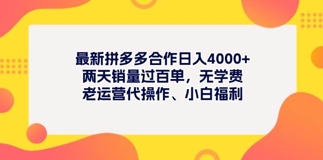 最新拼多多项目日入4000+两天销量过百单，无学费、老运营代操作、小白福利-飞鱼网创