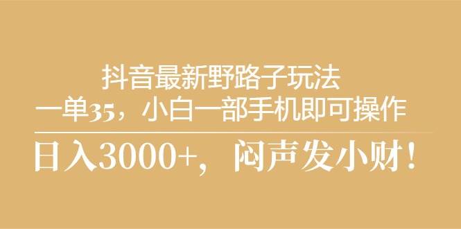 抖音最新野路子玩法，一单35，小白一部手机即可操作，，日入3000+，闷…-飞鱼网创