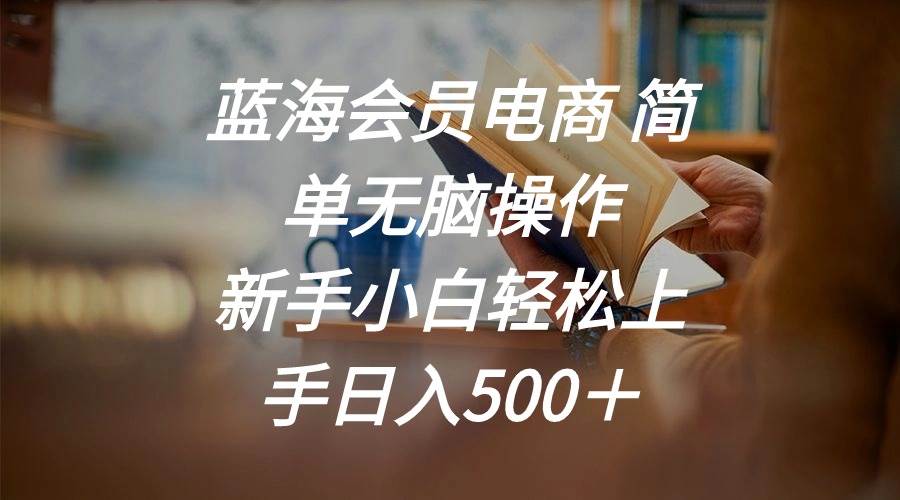 蓝海会员电商 简单无脑操作 新手小白轻松上手日入500＋-飞鱼网创