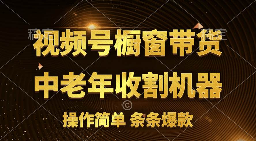 [你的孩子成功取得高位]视频号最火爆赛道，橱窗带货，流量分成计划，条…-飞鱼网创