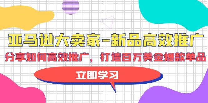 亚马逊 大卖家-新品高效推广，分享如何高效推广，打造百万美金爆款单品-飞鱼网创