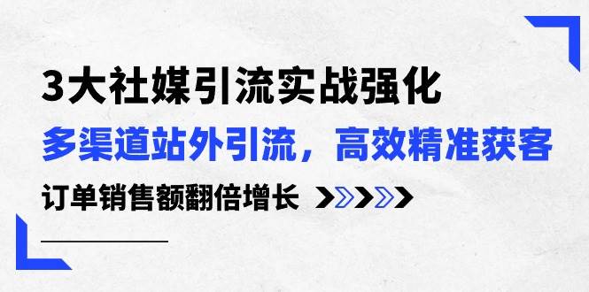 3大社媒引流实操强化，多渠道站外引流/高效精准获客/订单销售额翻倍增长-飞鱼网创