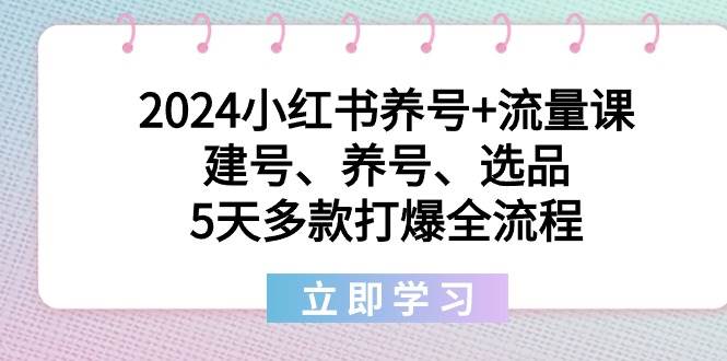 2024小红书养号+流量课：建号、养号、选品，5天多款打爆全流程-飞鱼网创