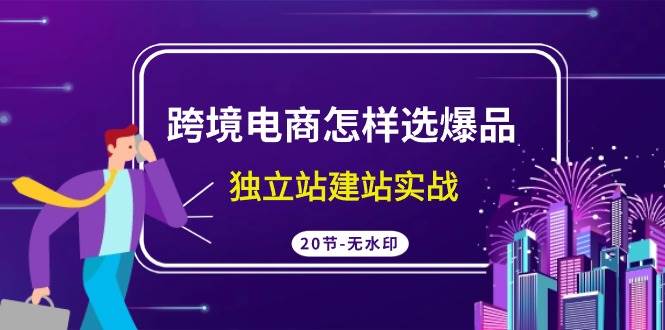 跨境电商怎样选爆品，独立站建站实战（20节高清无水印课）-飞鱼网创