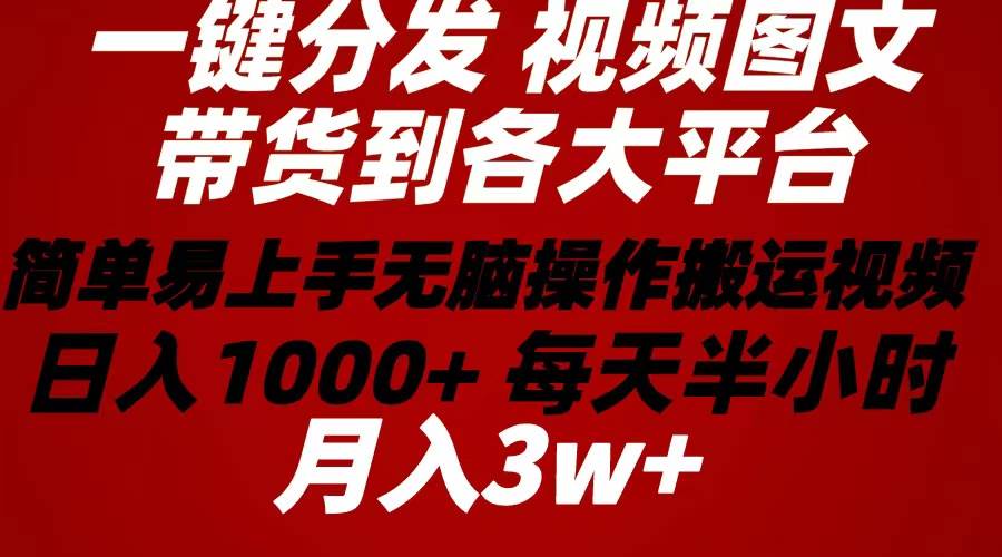 2024年 一键分发带货图文视频  简单易上手 无脑赚收益 每天半小时日入1…-飞鱼网创