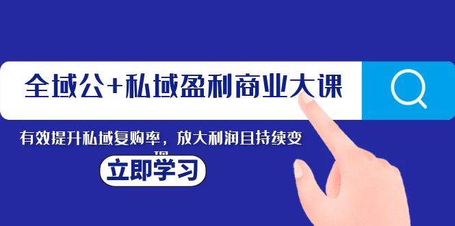 全域公+私域盈利商业大课，有效提升私域复购率，放大利润且持续变现-飞鱼网创