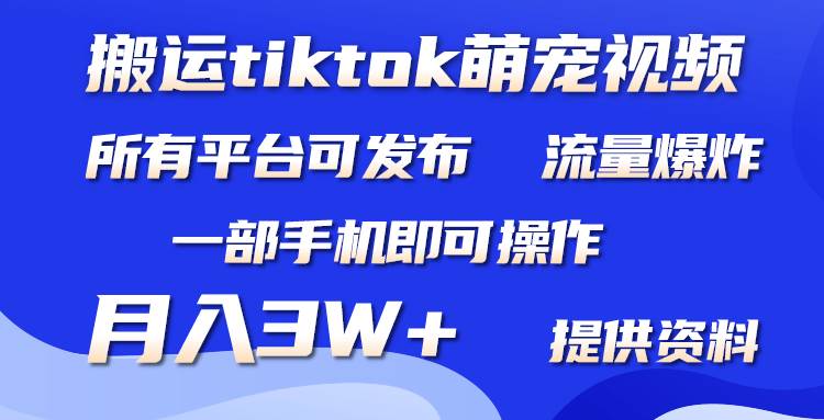 搬运Tiktok萌宠类视频，一部手机即可。所有短视频平台均可操作，月入3W+-飞鱼网创