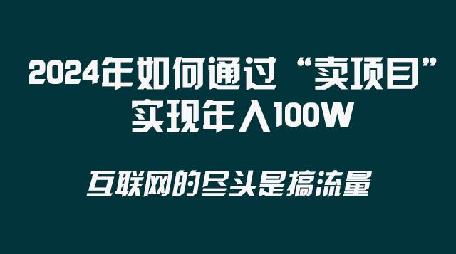 2024年如何通过“卖项目”实现年入100W-飞鱼网创