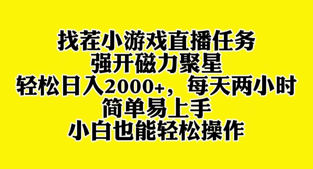 找茬小游戏直播，强开磁力聚星，轻松日入2000+，小白也能轻松上手-飞鱼网创